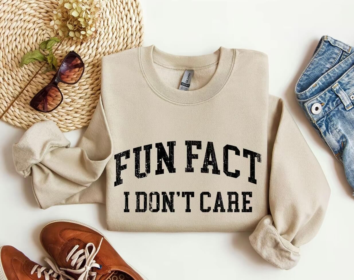 Fun Fact I Don't Care Funny Sweatshirt